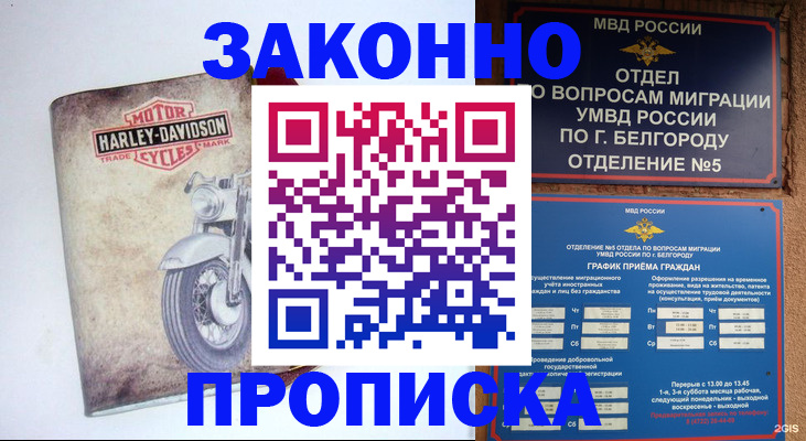 прописка для школы в Долгопрудном